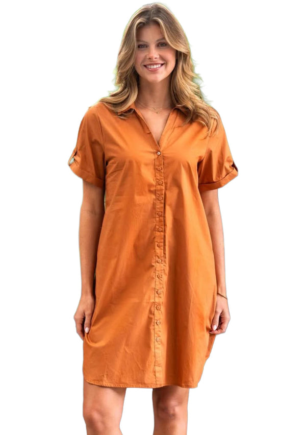 Frederick Shirt Dress